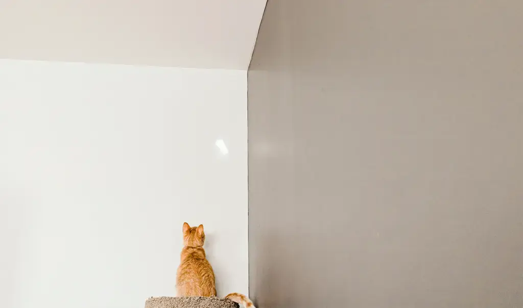 走進現代化精品住宅：崇德薈建案深入解析